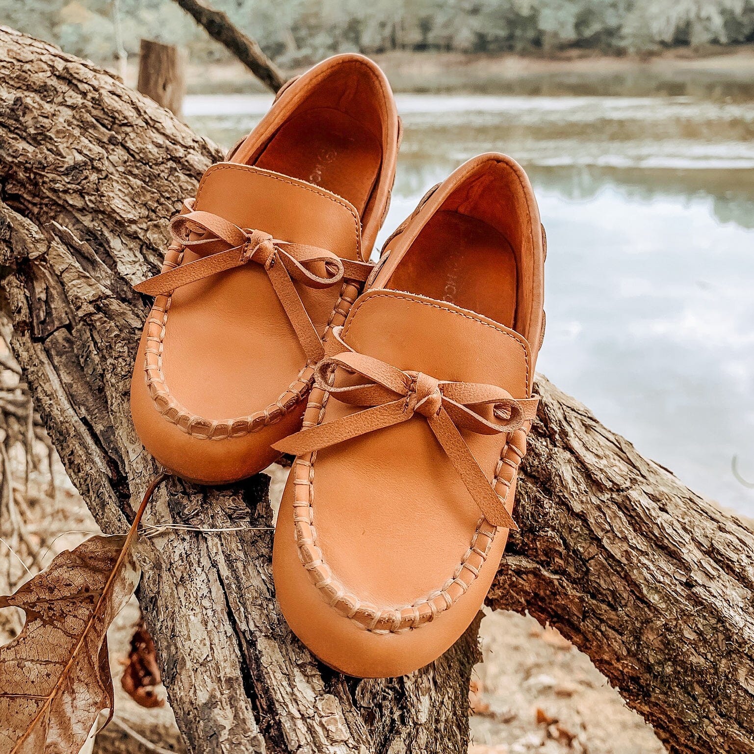 Boys' Leather Moccasin Caramel Footwear Cardin McCoy