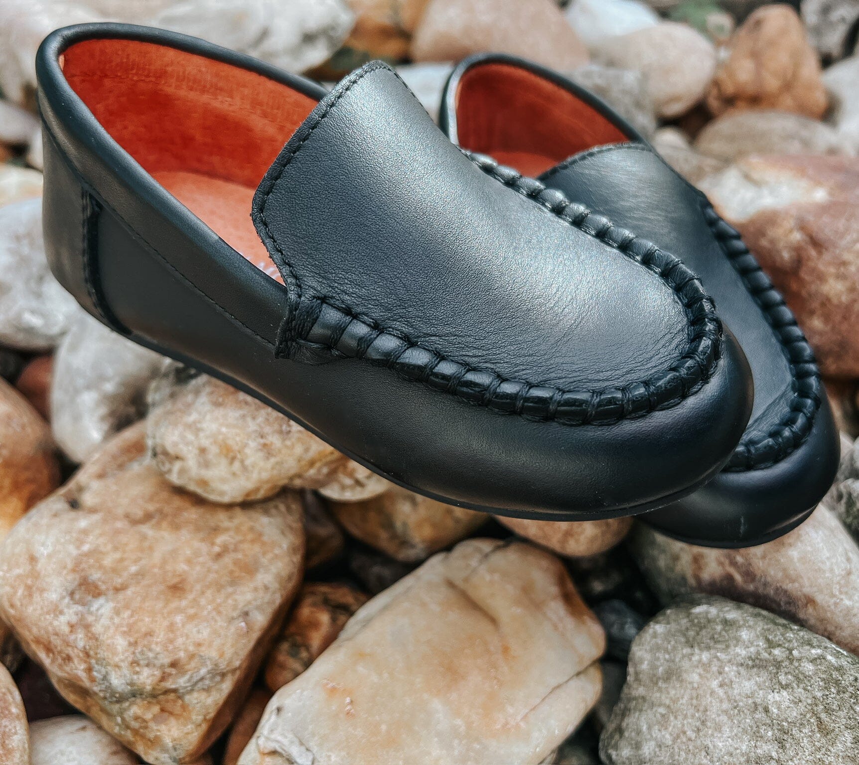 Cardin McCoy Boys' Classic Leather Loafer Black Black / 8 Cardin McCoy Boys' Classic Leather Loafer Black Black / 8
